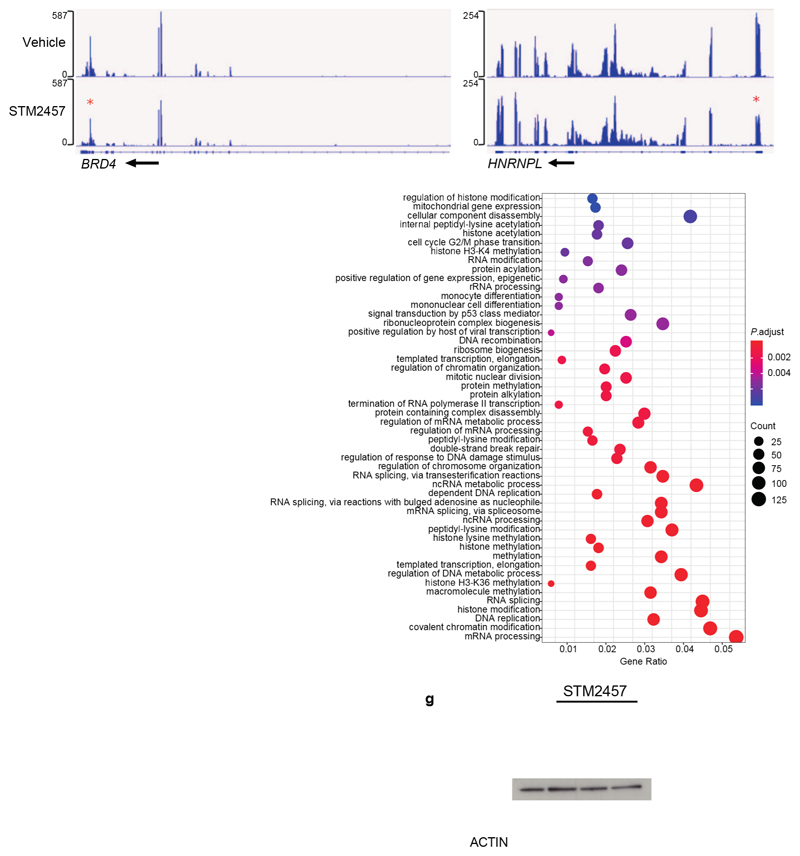 Extended Data Figure. 5