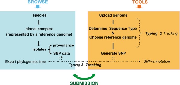 Figure 2.