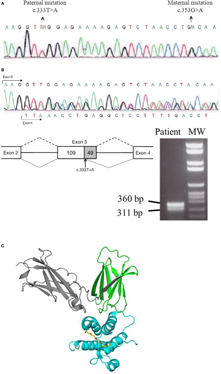 Figure 2