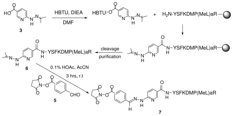 Scheme 2