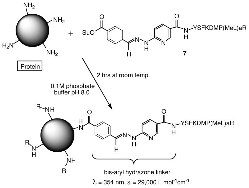 Scheme 3