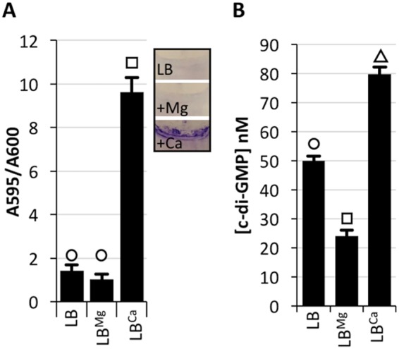 FIG 2 