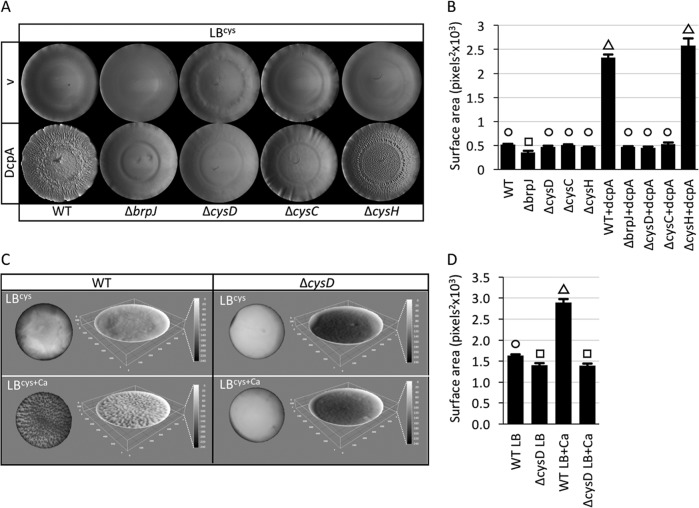 FIG 6 