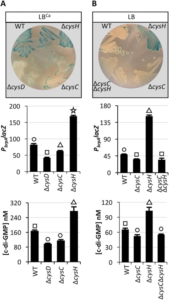 FIG 4 