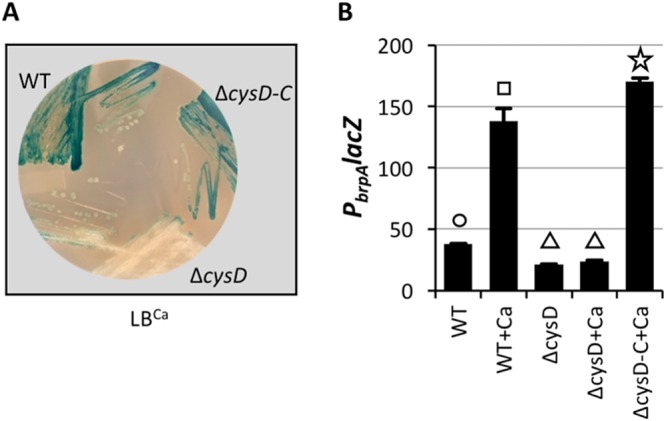 FIG 3 