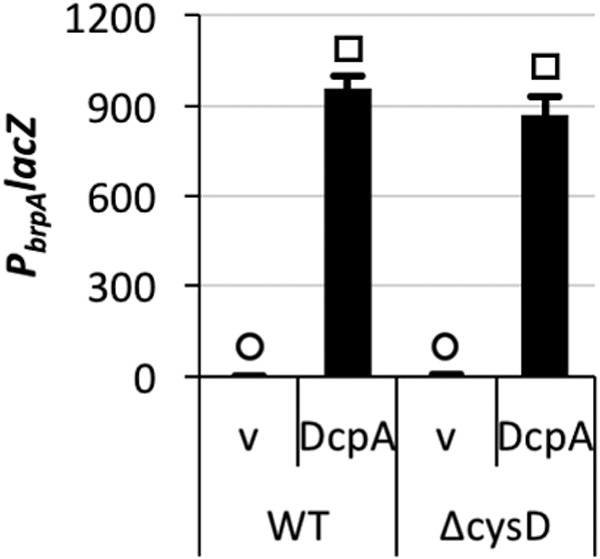 FIG 5 