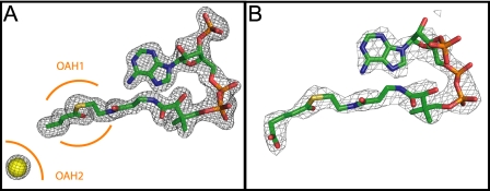 FIGURE 3.