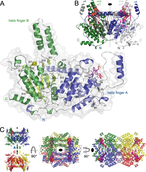 FIGURE 4.