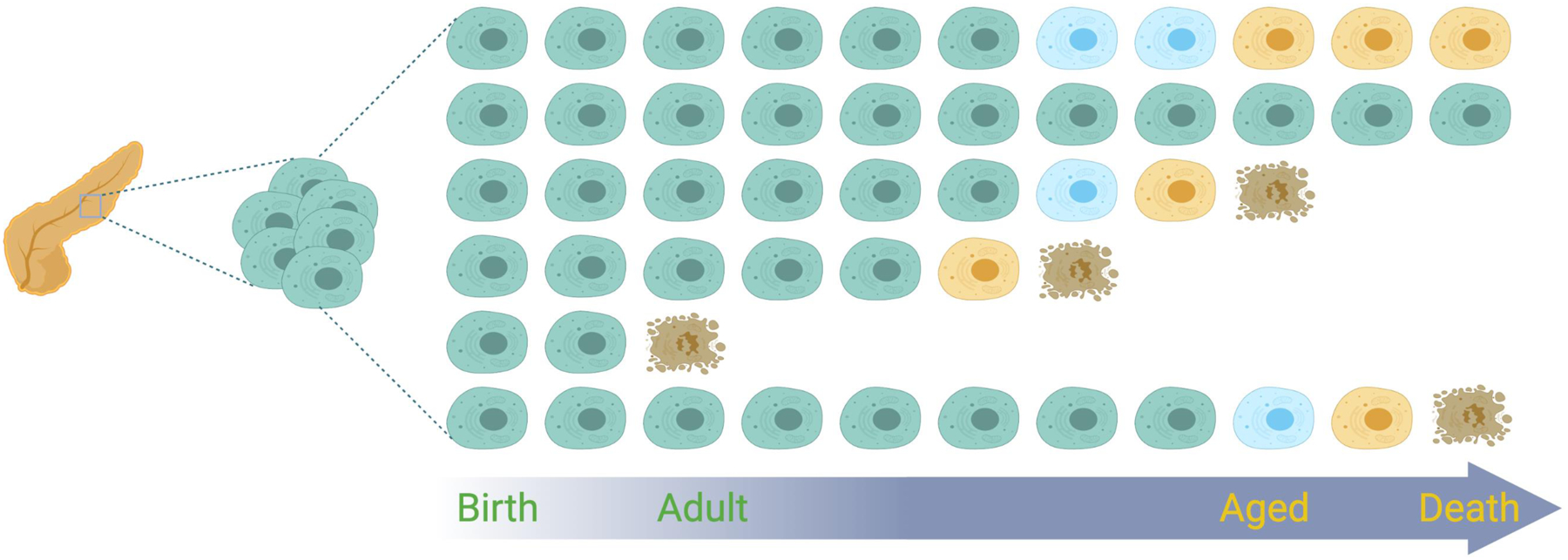 Figure 3.