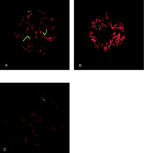 Figure  2