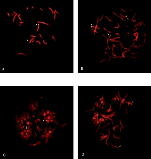 Figure  3