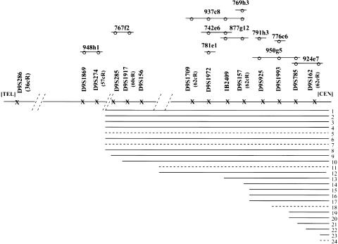 Figure  1