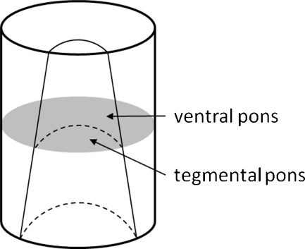 Fig. 5