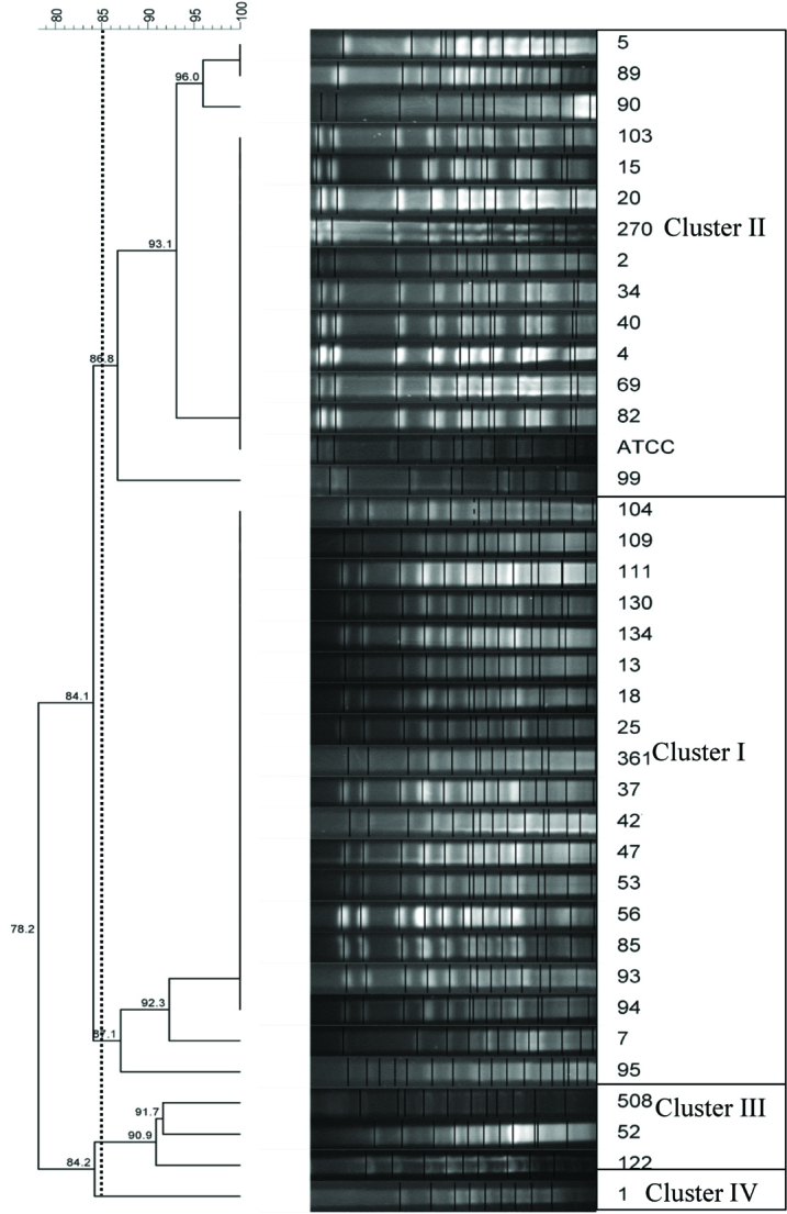 [Table/Fig-3]: