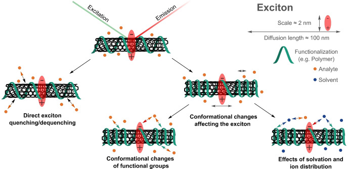 Figure 18