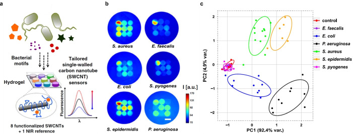 Figure 17