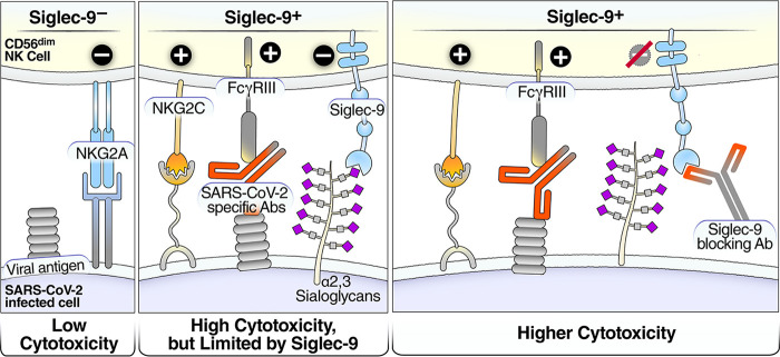 FIG 7