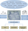 Graphical Abstract