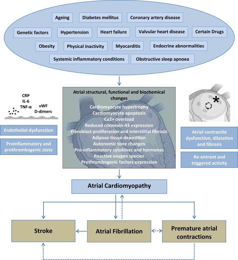 Graphical Abstract