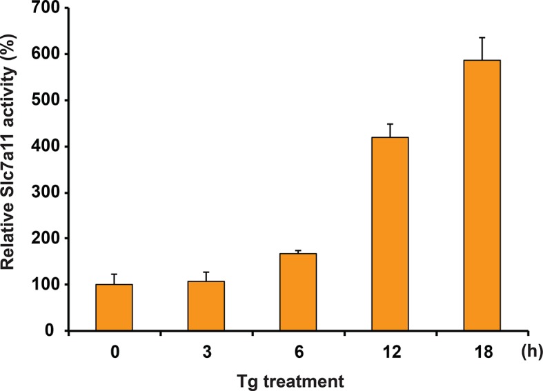 Figure 1—figure supplement 4.