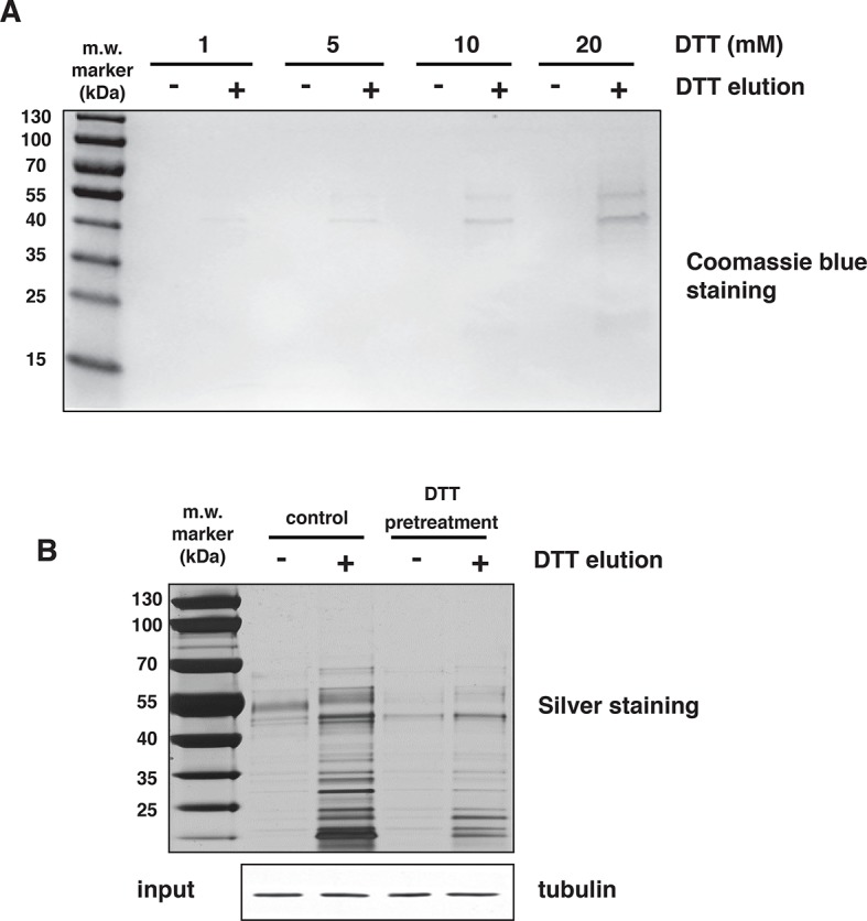 Figure 2—figure supplement 4.