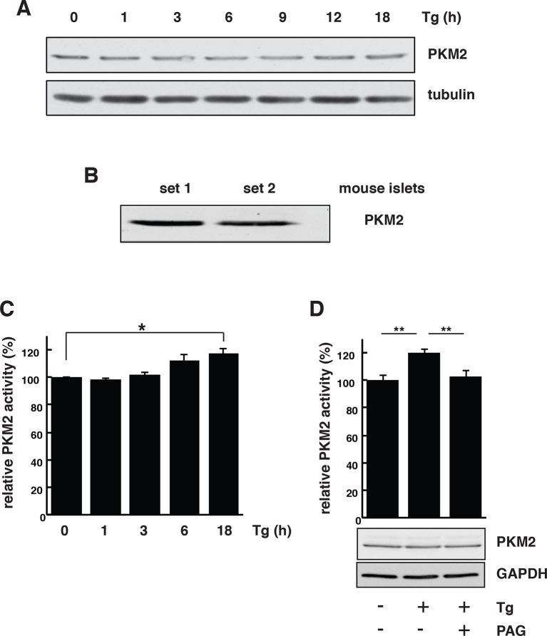 Figure 4—figure supplement 3.