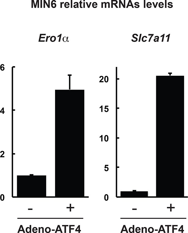 Figure 2—figure supplement 1.