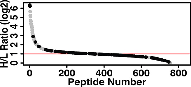 Figure 3—figure supplement 1.