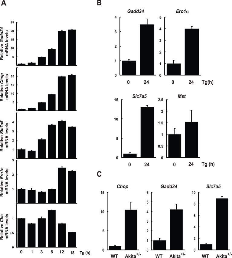 Figure 1—figure supplement 2.