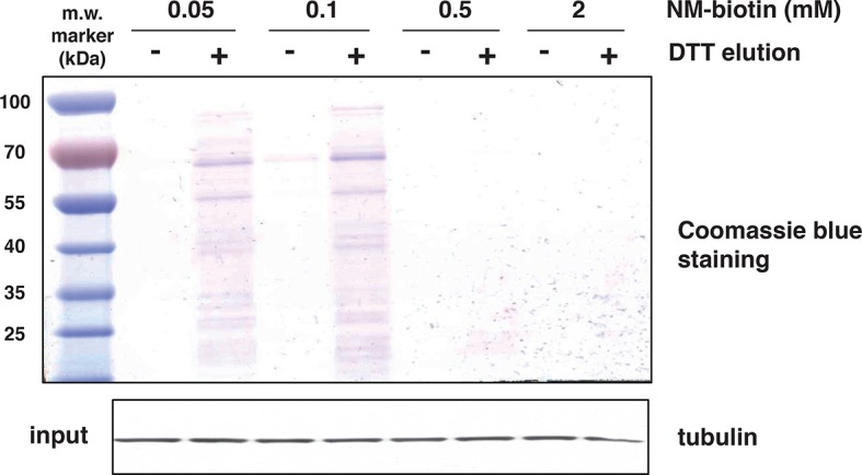 Figure 2—figure supplement 3.