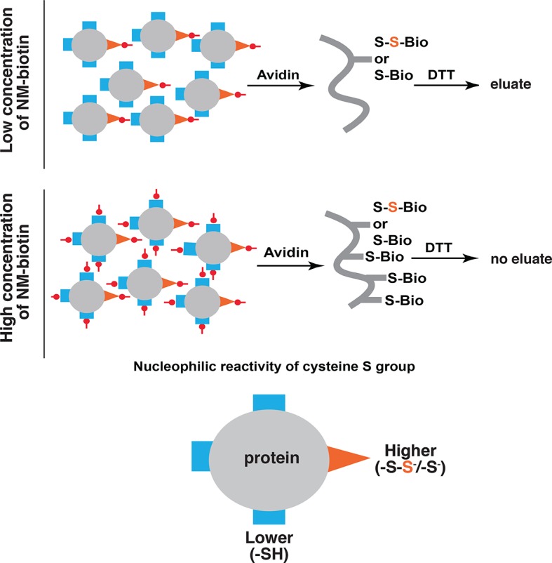 Figure 2—figure supplement 2.