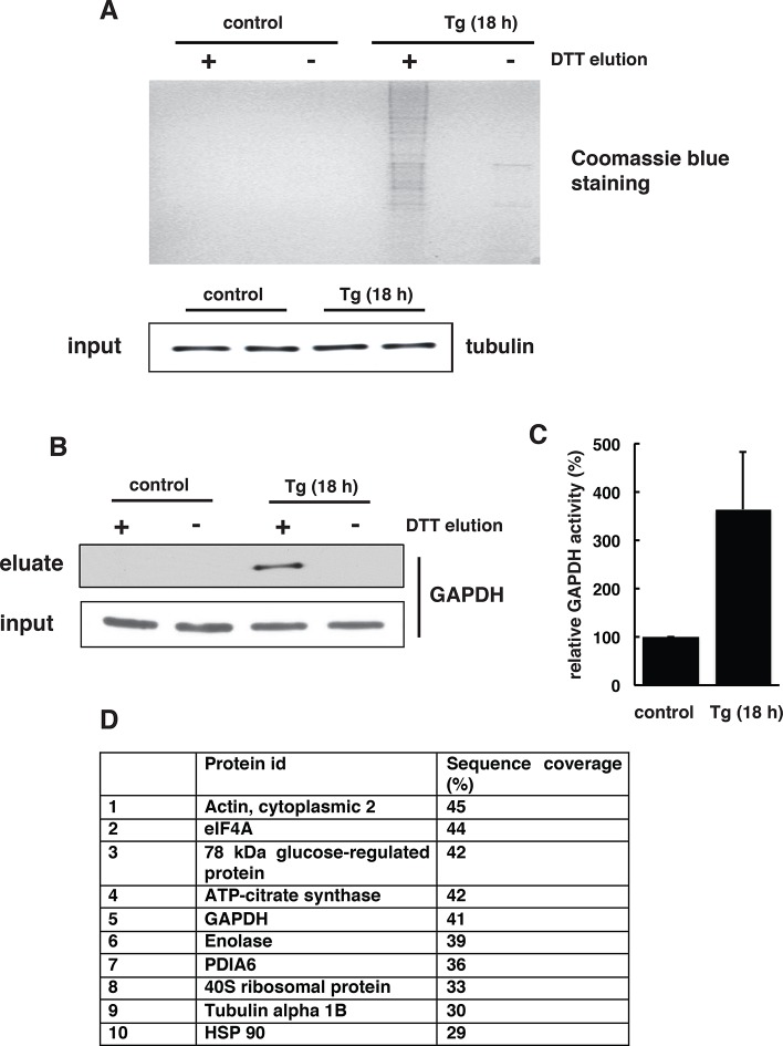 Figure 2—figure supplement 8.