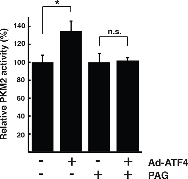 Figure 4—figure supplement 2.