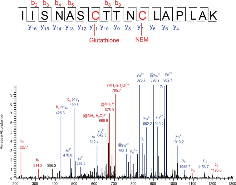 Figure 1—figure supplement 5.