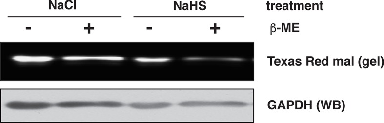 Figure 2—figure supplement 6.