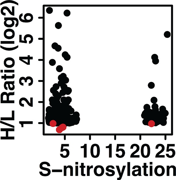 Figure 3—figure supplement 2.