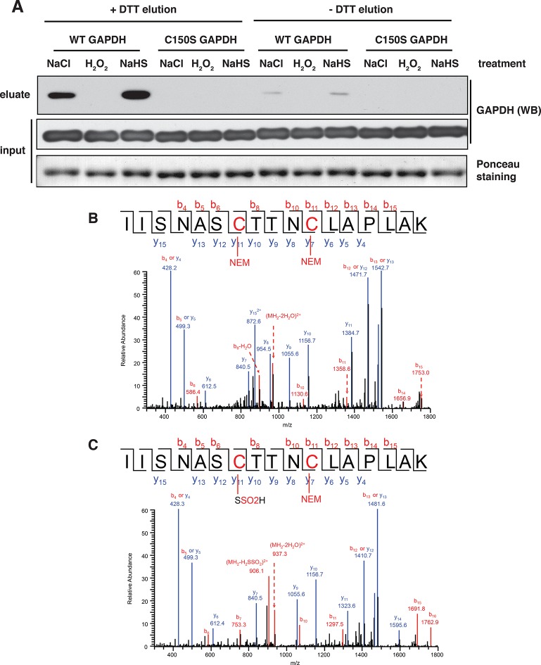 Figure 2—figure supplement 7.