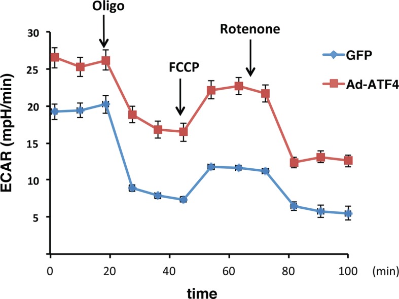 Figure 4—figure supplement 1.