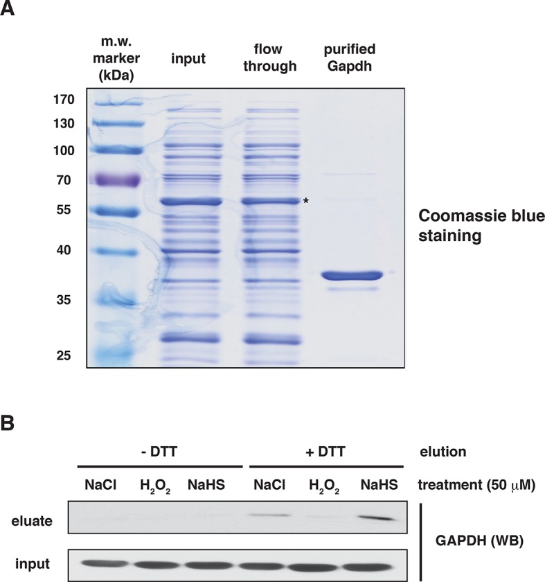 Figure 2—figure supplement 5.