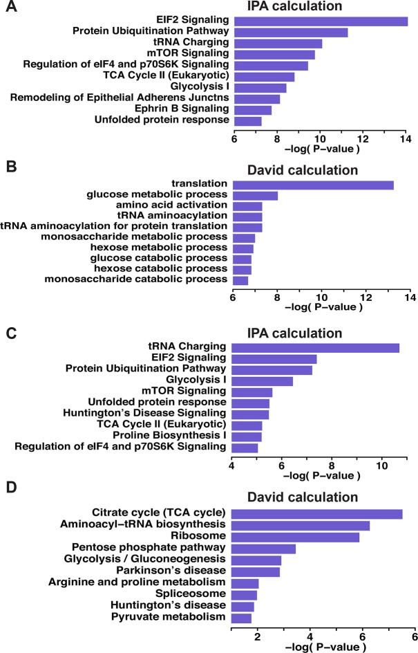 Figure 3—figure supplement 5.