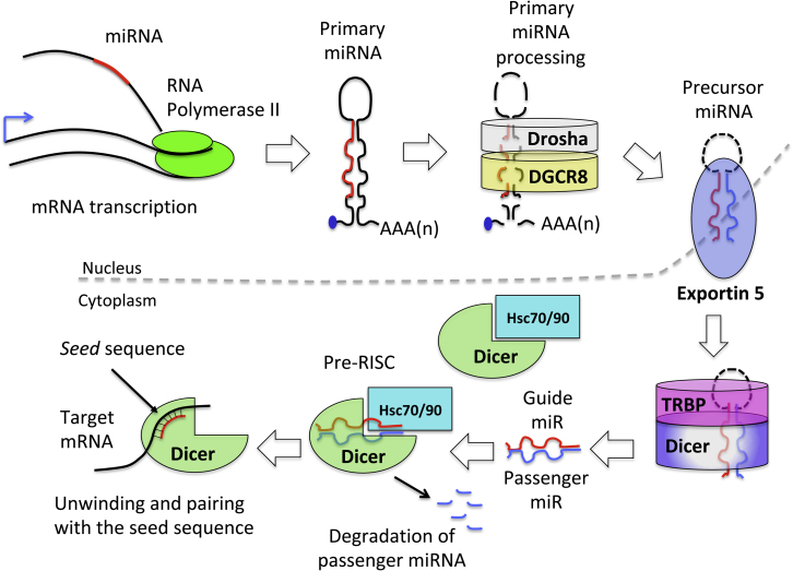 Figure 2