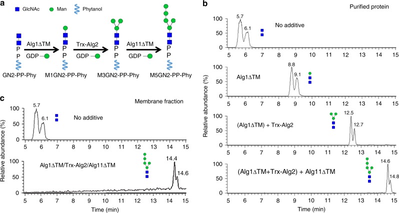 Fig. 2