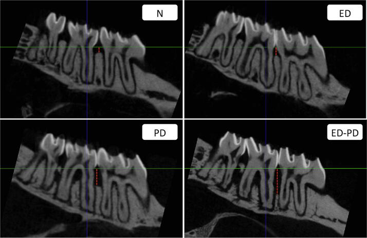 Fig. 3