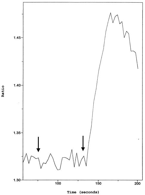 FIG. 10