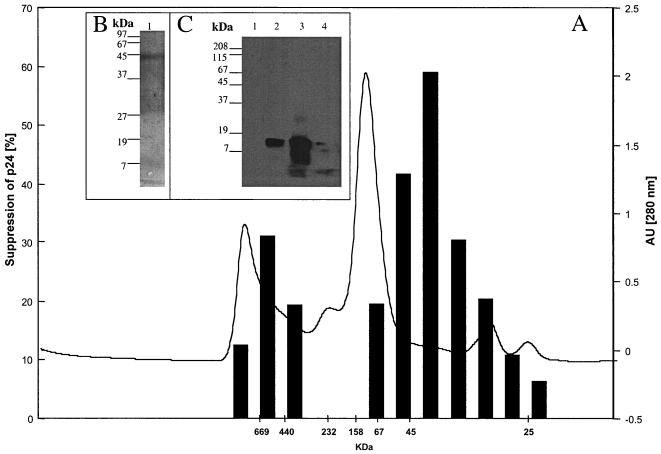 FIG. 8