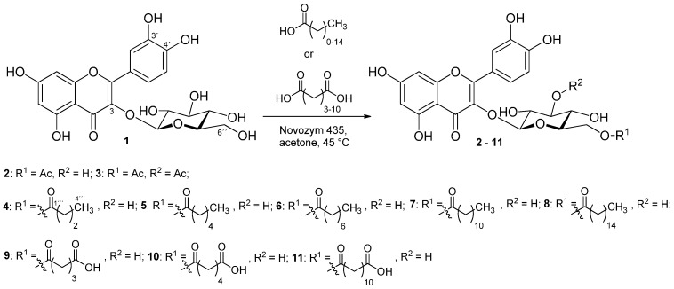 Scheme 1