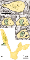 Figure 6.