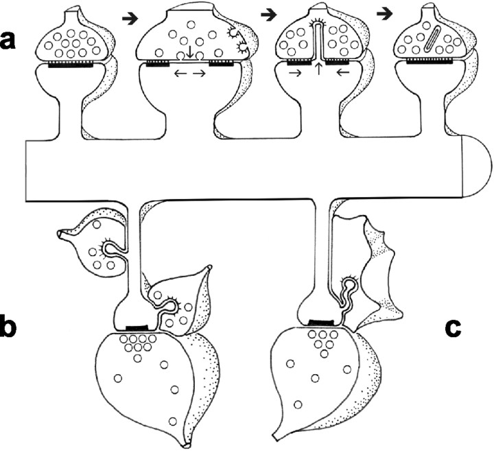 
Figure 9.
