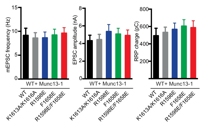 Figure 7—figure supplement 2.