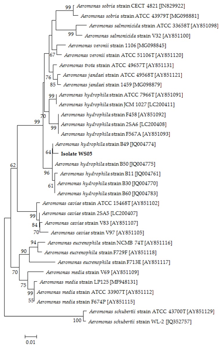 Figure 7